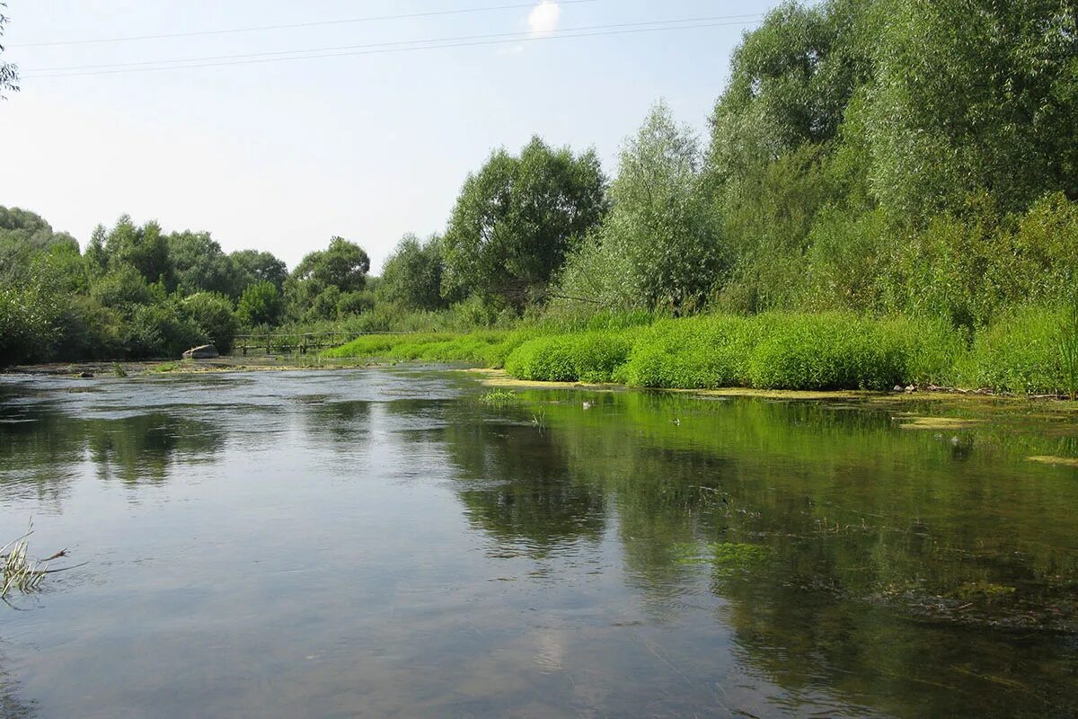 Реки курской области фото Топ 20 - реки Курской области