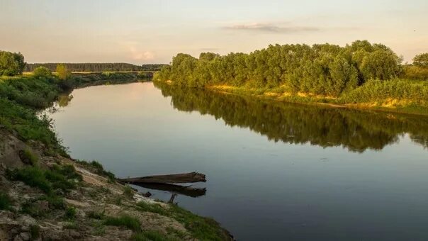 Реки мордовии фото РЯЗАНСКИЕ РЕКИ. МОКША Приток реки Ока. Предположительно, название реки произошло