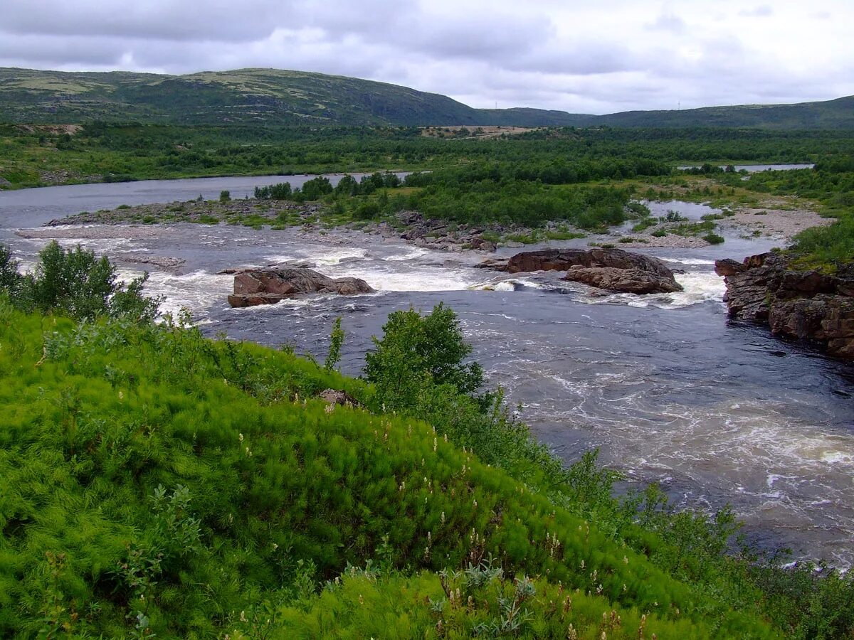 Реки мурманской области фото Начало низовьев реки Воронья... - Туманный - Landscapes and habitats - Plantariu