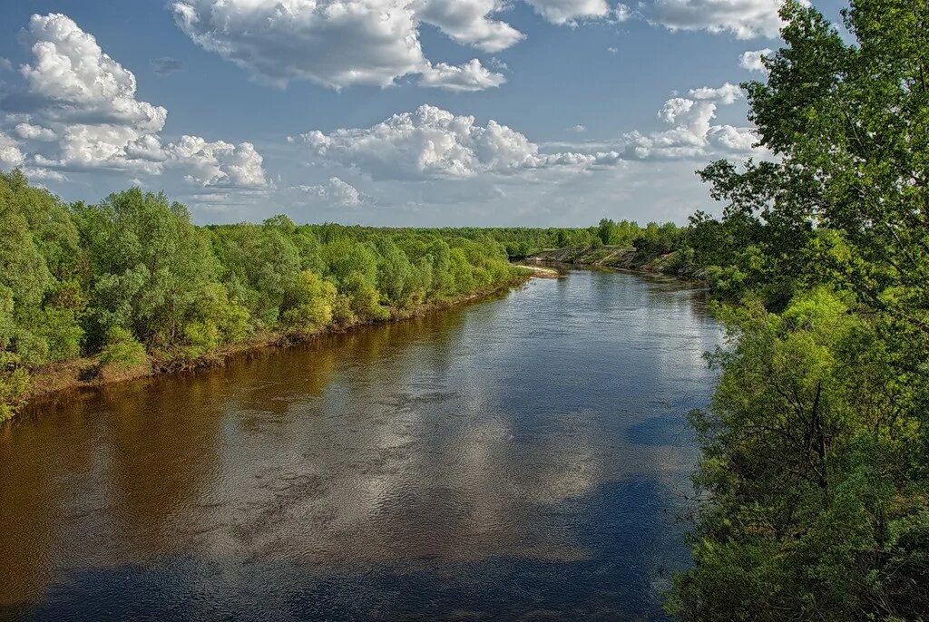 Реки нижегородской области фото Река Тёша, Нижегородская область. Автор фото С. Горшков 2024 Самые красивые реки