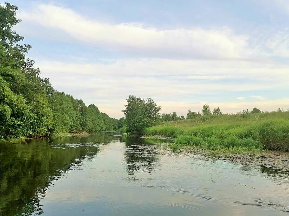 Реки нижегородской области фото Страдания по северному голавлю Рыболов НН Дзен