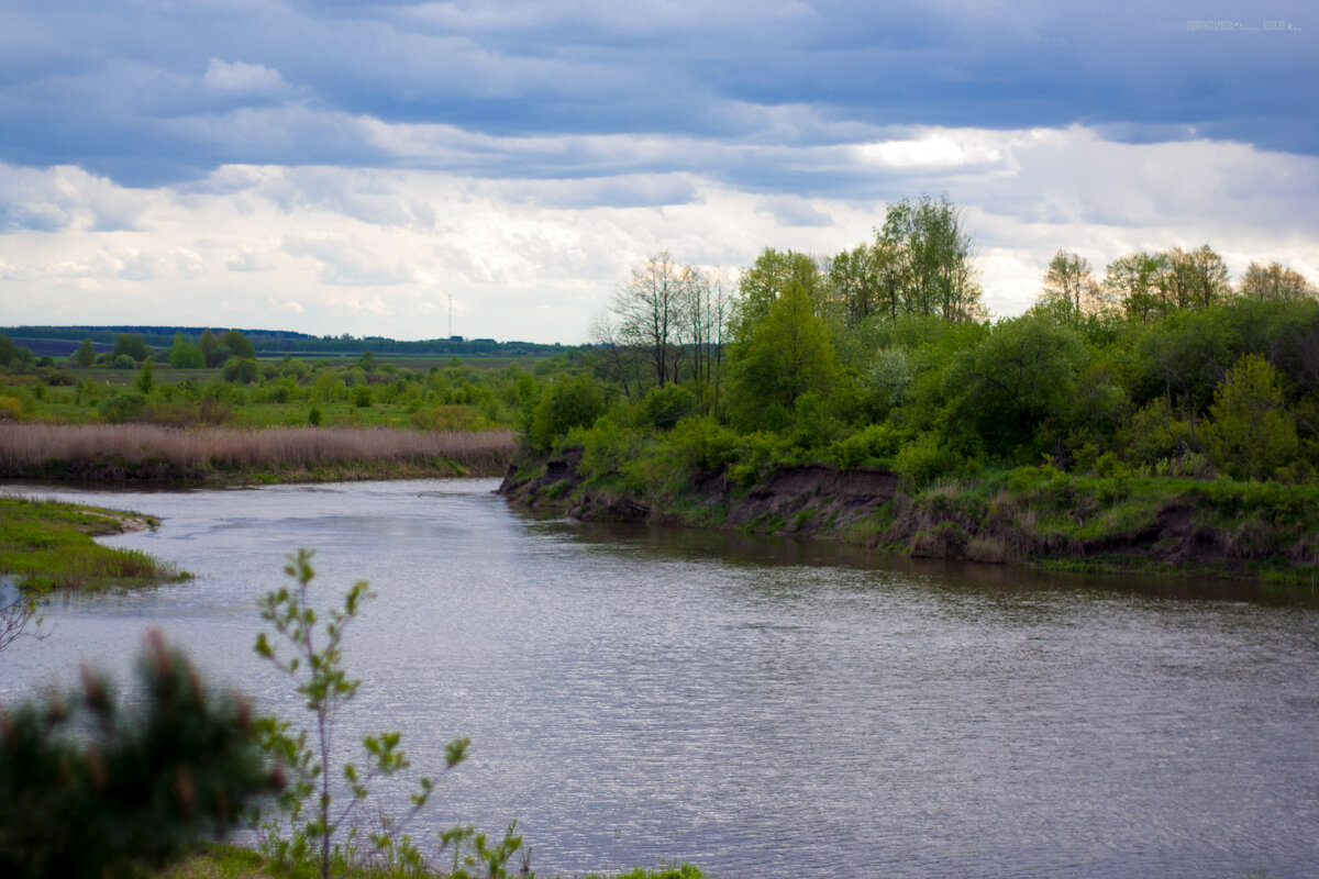 Реки нижегородской области фото По дороге в Ичалковский бор Света Шуга Дзен