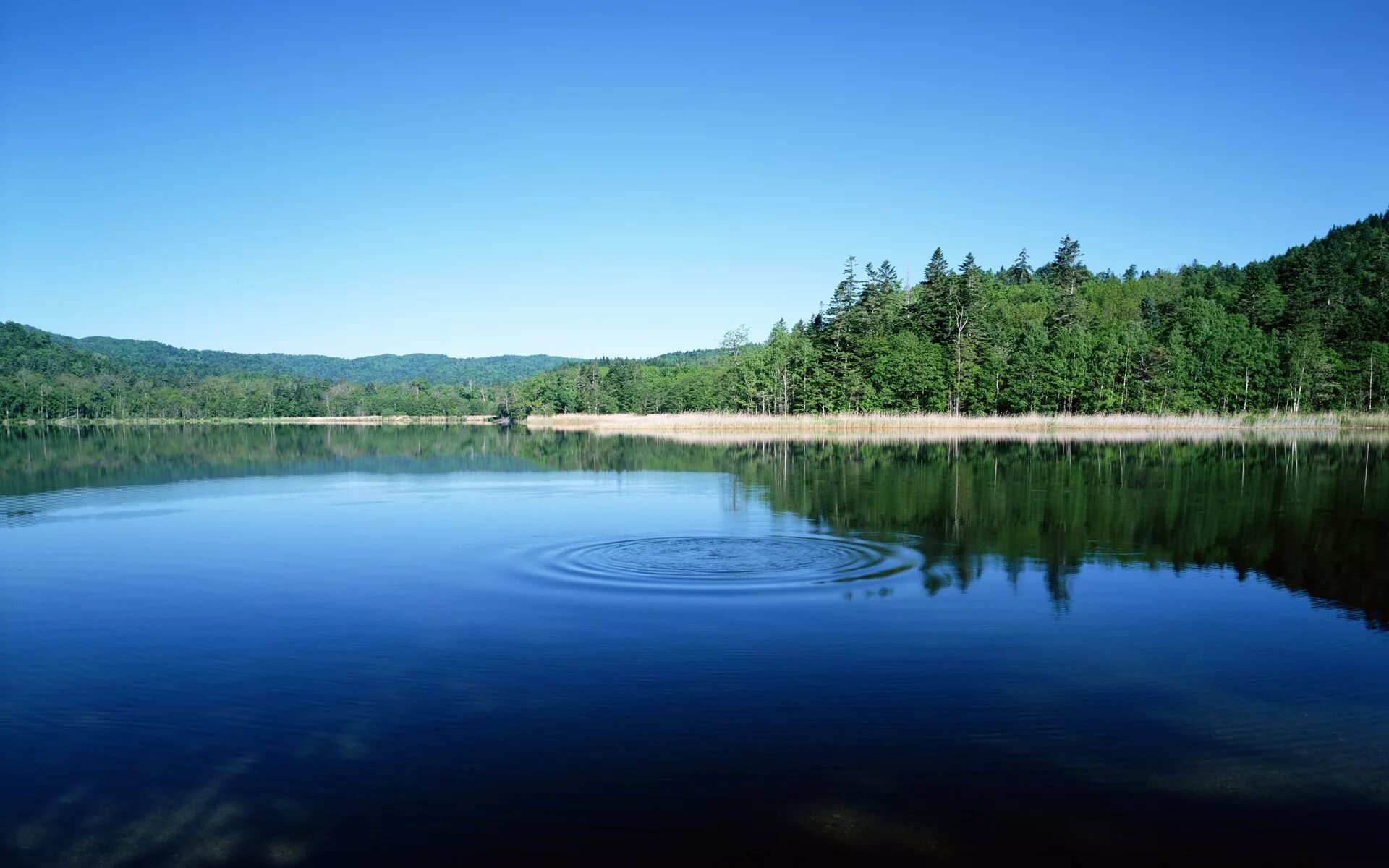 Реки озера фото Wallpaper : trees, landscape, lake, nature, reflection, river, wilderness, pond,