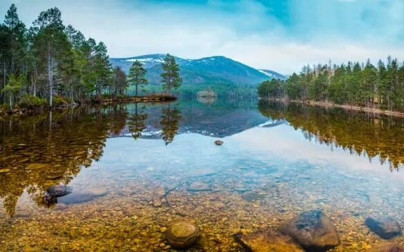 Реки озера фото Papel de parede lago cristalino Lake forest, Landscape, Lake