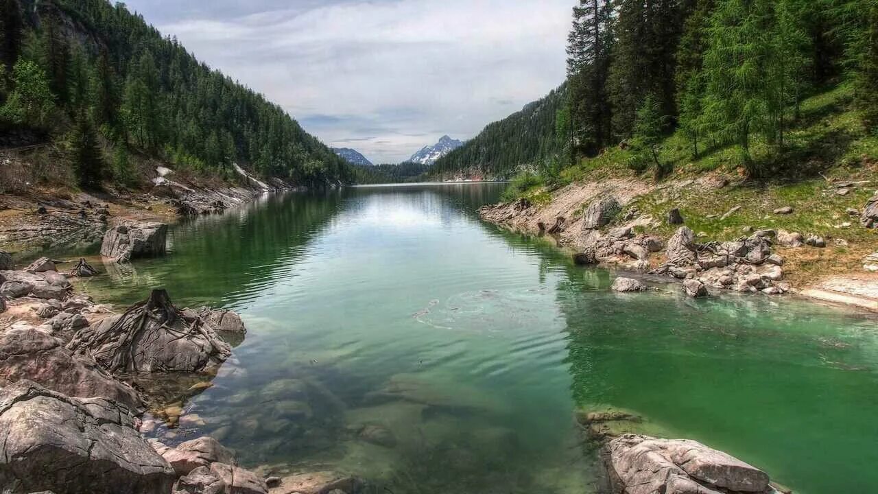 Реки озера фото Картина катунь - купить по низкой цене на Яндекс Маркете