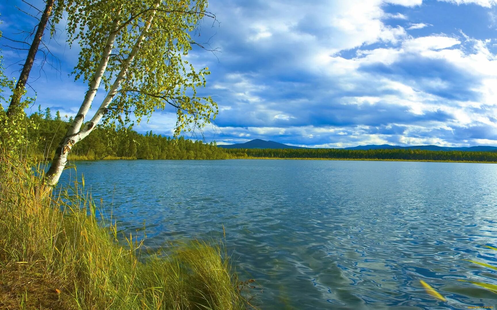 Реки озера фото МЦБ Сызранского района Новости