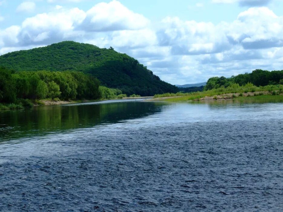 Реки приморского края фото В Приморье усилен радиологический контроль водных биологических ресурсов Междуна