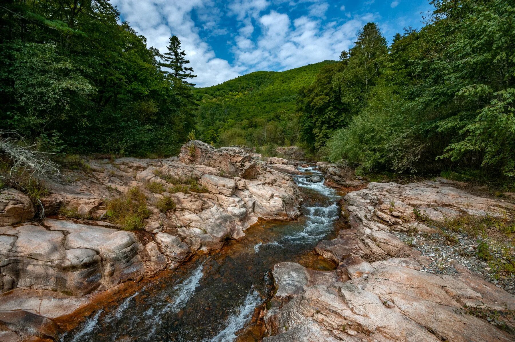 Реки приморского края фото Розовые пороги. Фотограф Иван Боровков