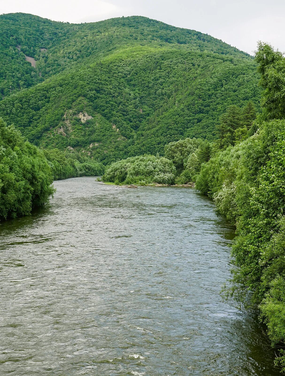 Реки приморского края фото Ответы Mail.ru: Опишите реку Уссури