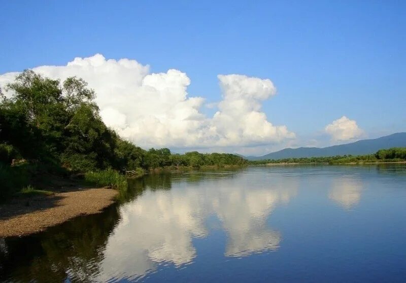 Реки приморского края фото Уссурийский заповедник - Красная книга России.