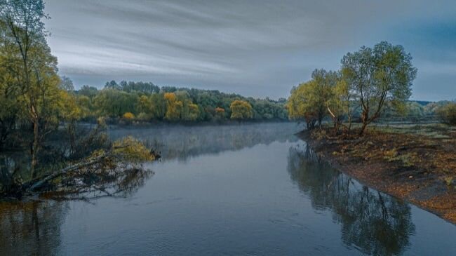 Реки рязани фото Публикуем красивые фотографии водоемов Рязанской области "Рязанские новости" Дзе