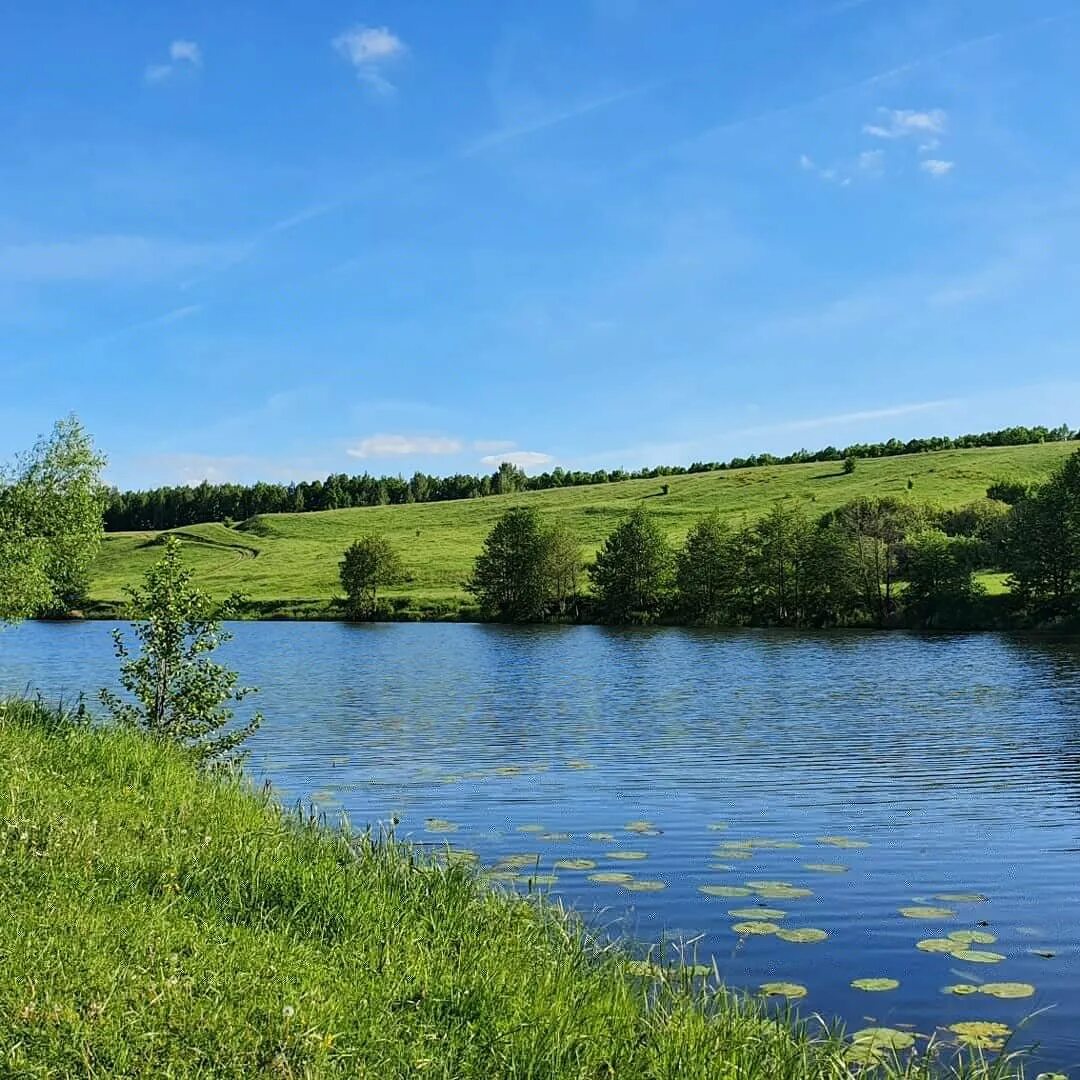 Реки рязани фото Ранова река рязанская область - Фото