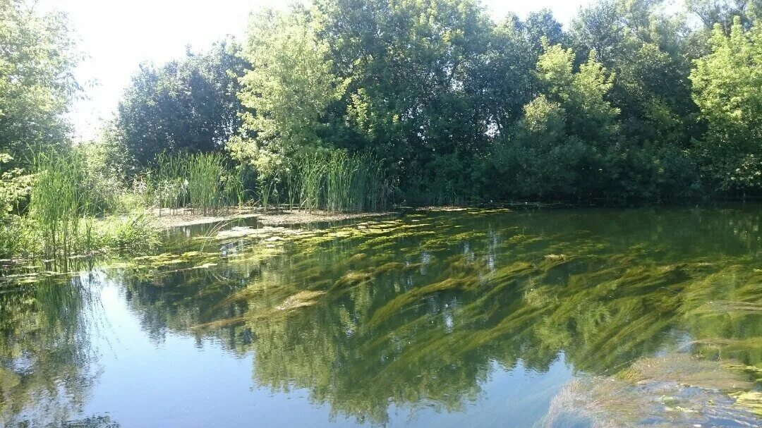 Реки рязани фото Путешествие по Ранове. Часть первая. Иван Иванов Дзен