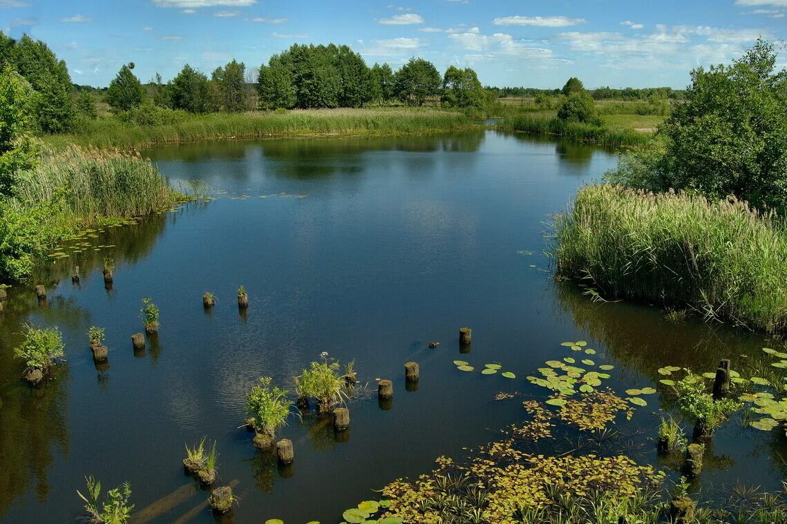 Ранова река рязанская область - Фото