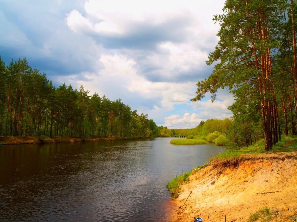 Реки рязанской области фото Рыбалка на реке Пра, Рязанская область.