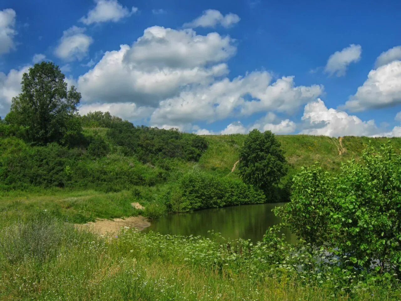 Реки рязанской области фото Картинки РЯЗАНСКАЯ ОБЛАСТЬ КАКАЯ РЕКА