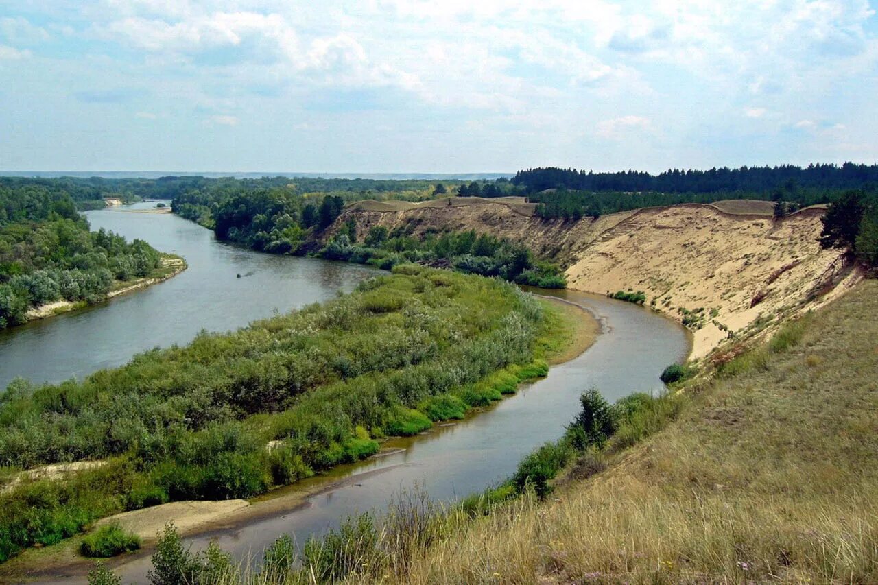 Реки саратовской области фото Медведица река фото YugNash.ru