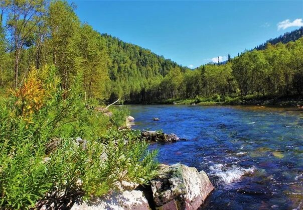 Реки сибири фото Taiga River Photo by Sergey Chinyaev Это Сибирь! Алтай, Байкал. Путешествия. ВКо