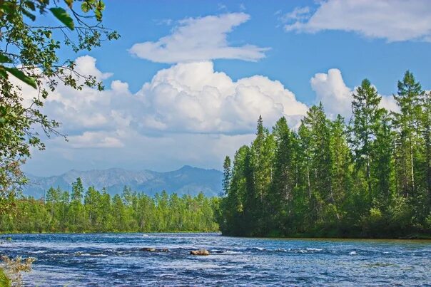 Реки сибири фото The Siberian Landscape Photo by Valery Isayev Это Сибирь! Алтай, Байкал. Путешес