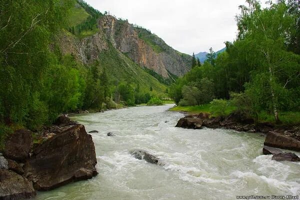 Реки вк фото Чуя (река) - РА - Кош-Агачский район - Реки - Каталог статей - Автомобилем по Го