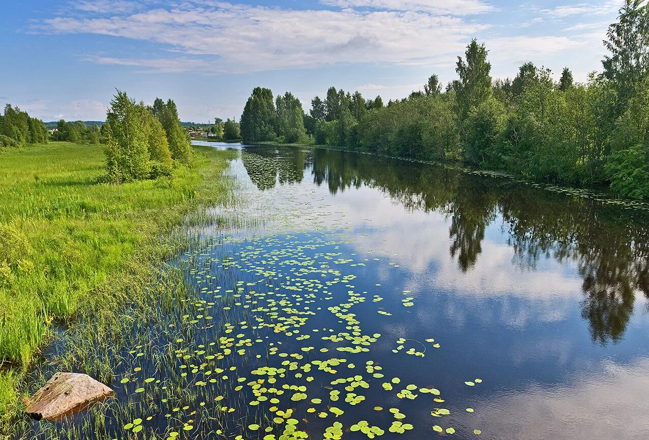 Реки вологодской области фото РЕКА МЕГРА - Вологодское отделение РГО