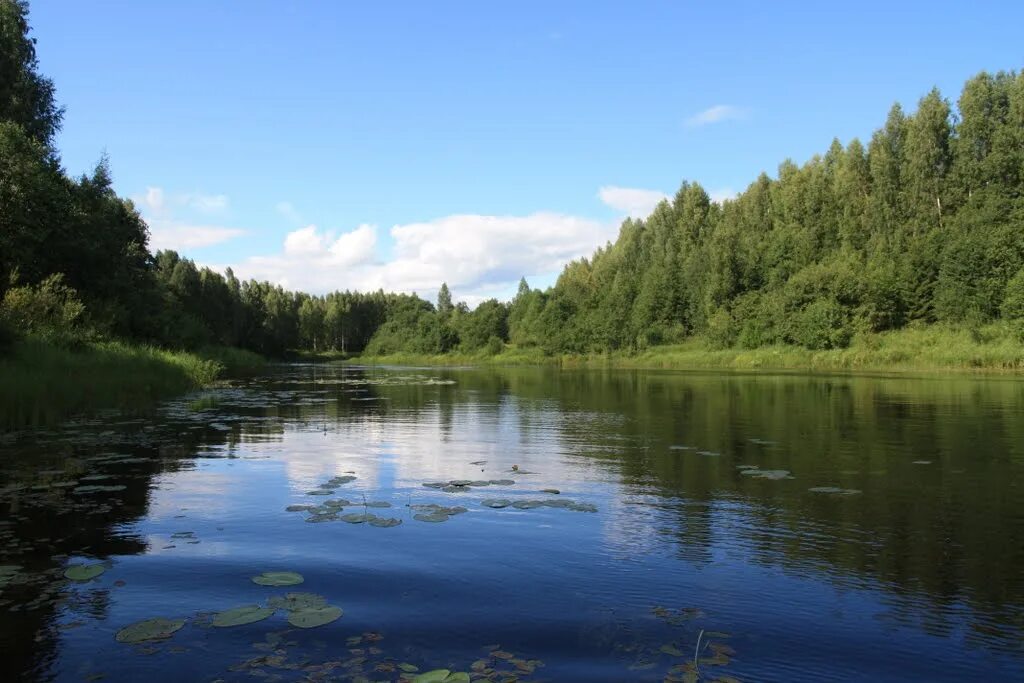 Реки вологодской области фото Андога ниже Глухого. Автор фото: Алексей Морозов 2023 Андога ВКонтакте