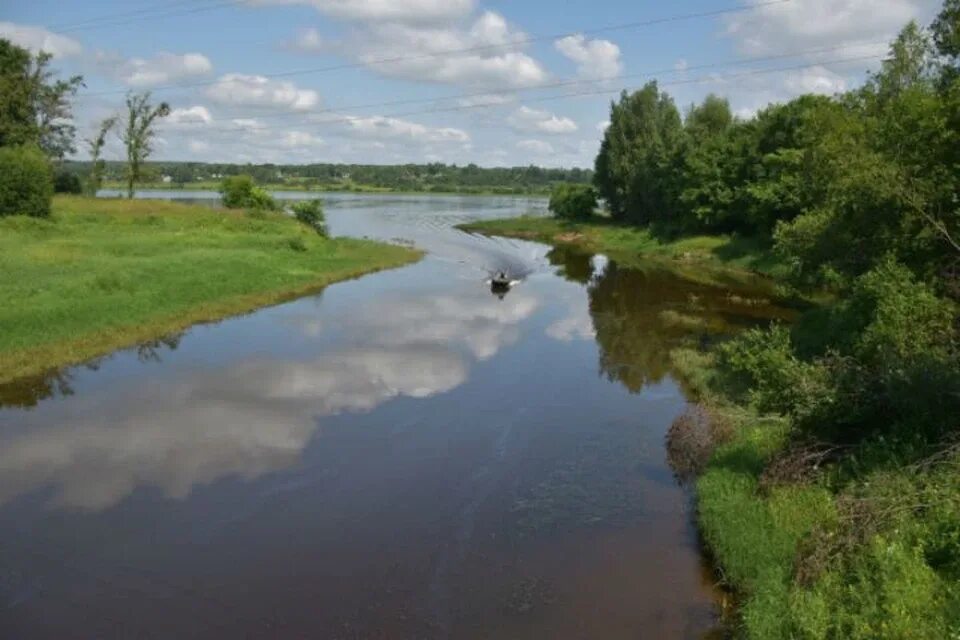 Реки ярославской области фото В Ярославской области провели проверку по факту загрязнения реки Печегды - KP.RU