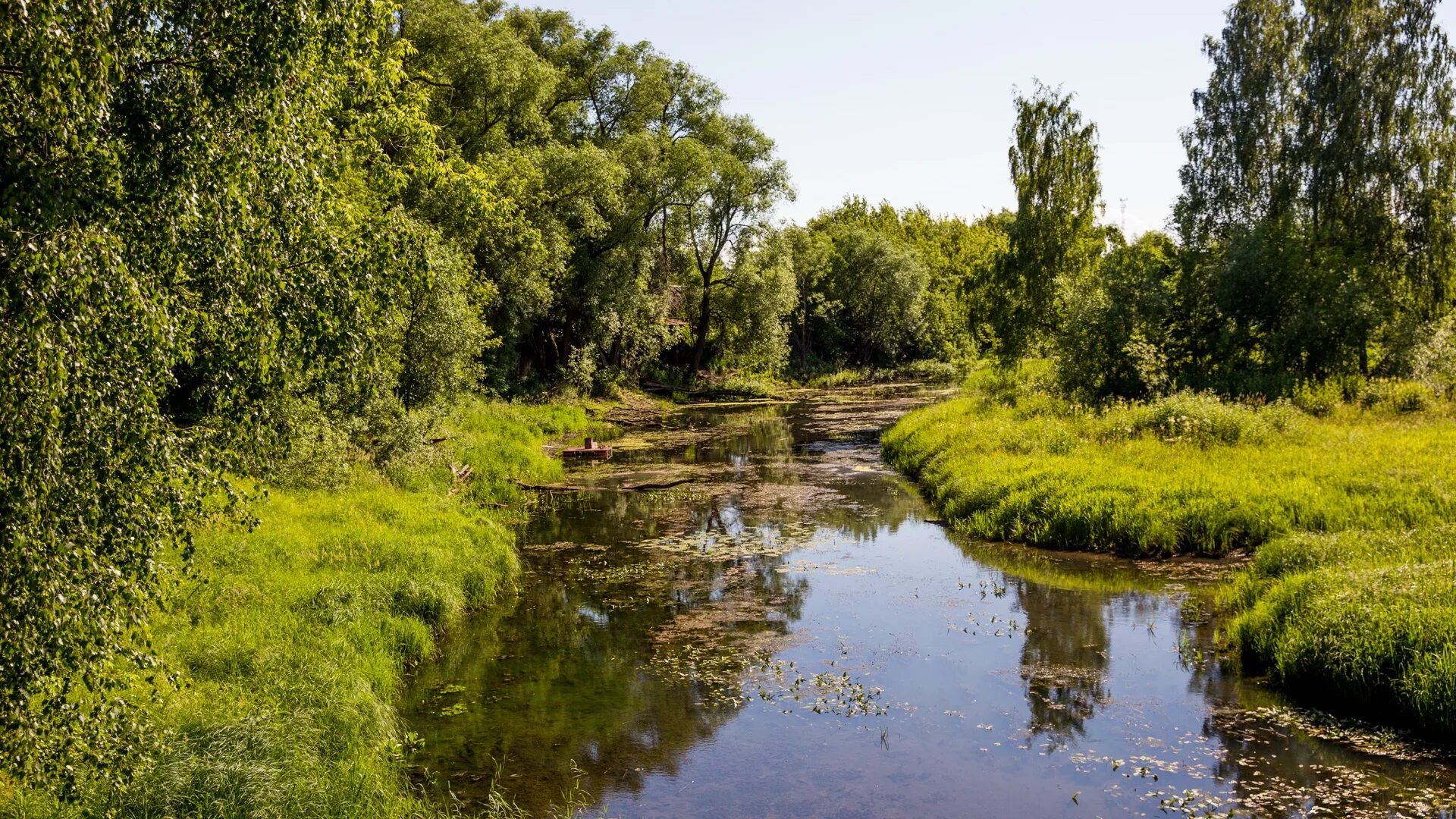 Реки ярославской области фото Последние новости и события города Ярославля и Ярославской области за 3 июля 201