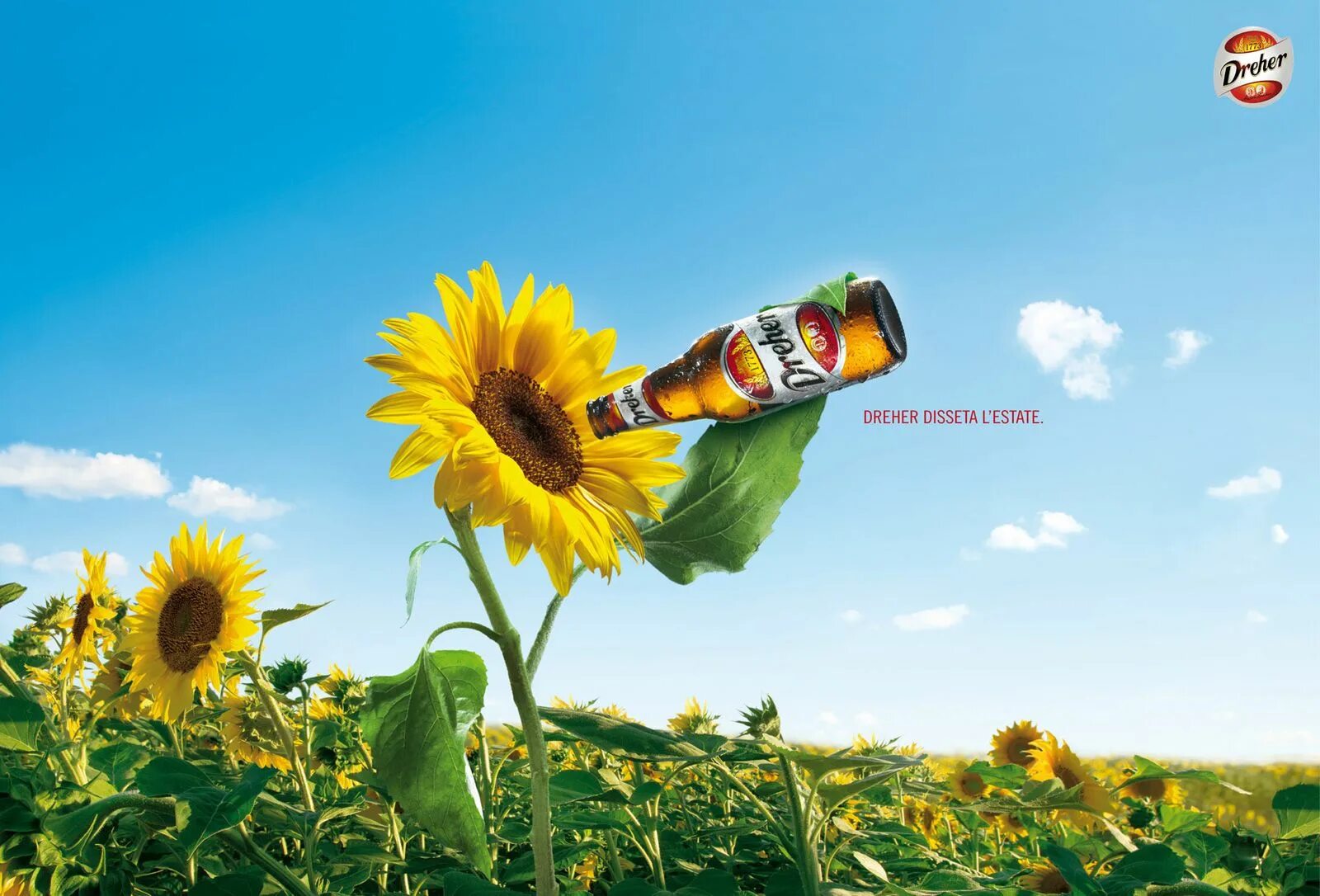 Реклама фото день Creative Beer Ad Beer ad, Ads creative, Creative pictures