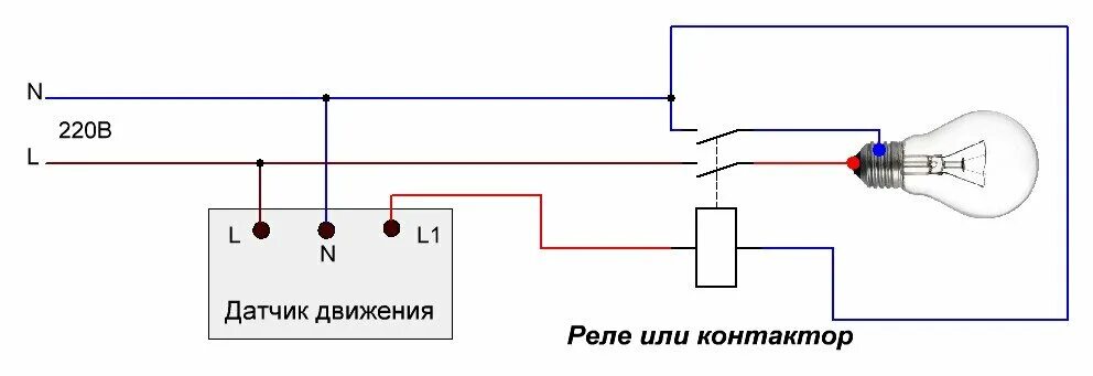 Реле движения для освещения схемы подключения Как подключить и настроить датчик движения Лампа Электрика Дзен