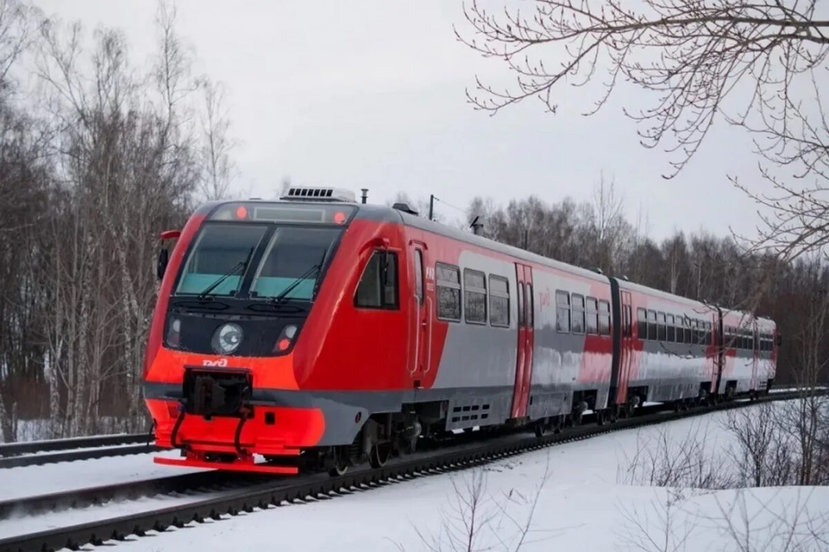 Рельсовый автобус фото Поездка по туристическому маршруту Волгоград - Эльтон состоится 26 февраля - МК 