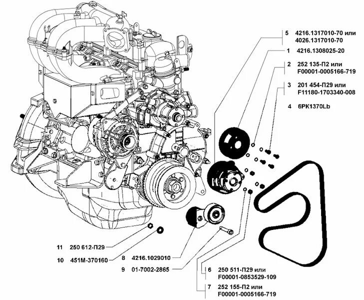 Ремень генератора газель 4216 установка схема Привод водяного насоса и вентилятора. - Онлайн каталог автомобилей ГАЗ на сайте 