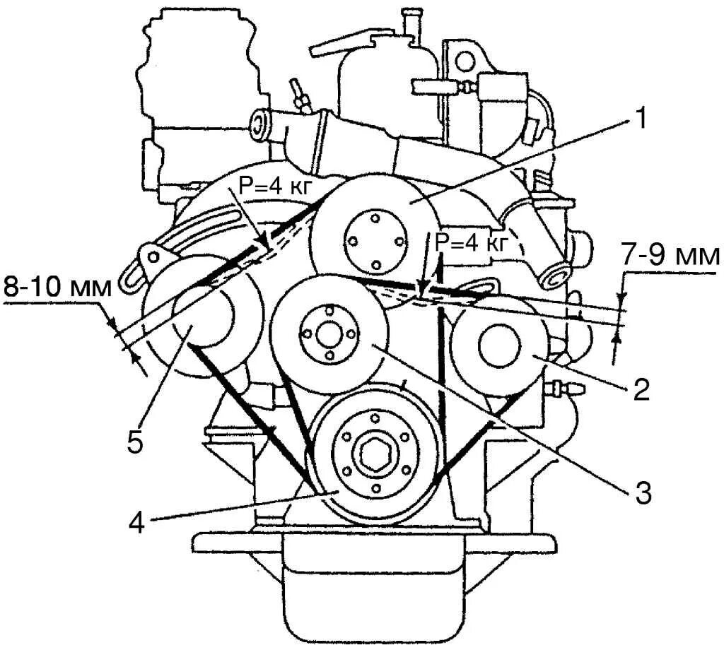 Ремень генератора газель 4216 установка схема Ремонт ГАЗ 2705 (Газель) : Особенности технического обслуживания двигателя