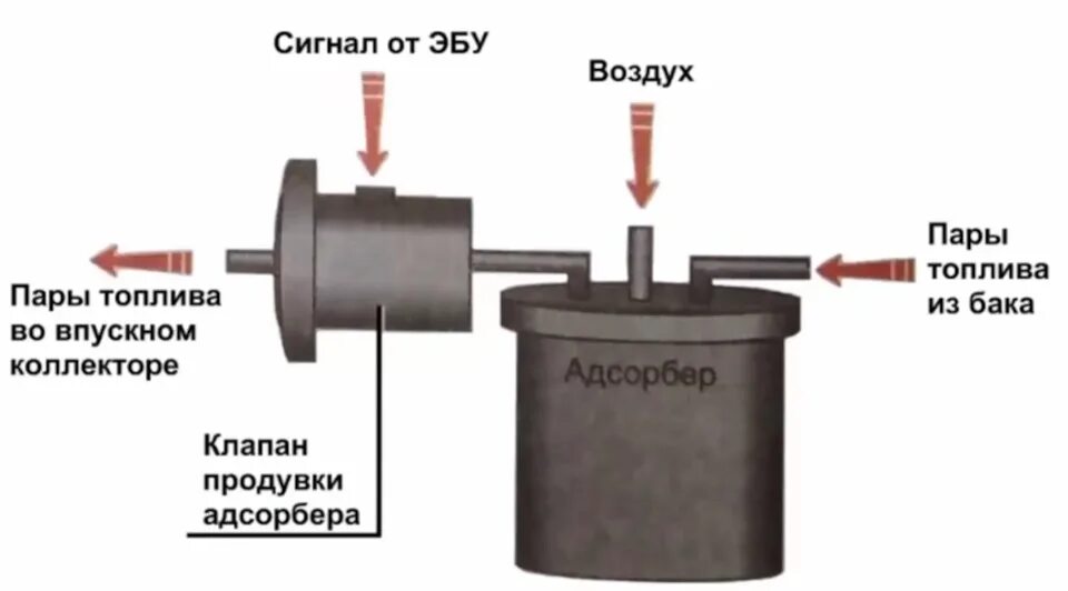 Ремонт адсорбера своими руками Клапан N80 адсорбера или продувки топливного бака. Замеры давления топливной маг