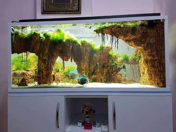 Ремонт аквариума своими руками Pin on Aquarium Fish tank terrarium, Aquascape design, Aquarium fish