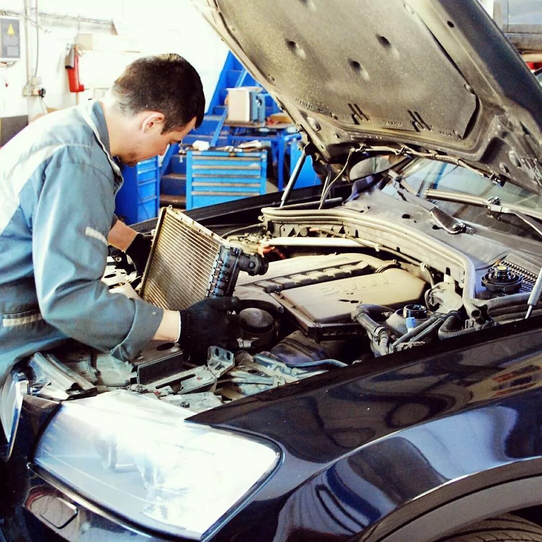 The Importance of Timely Motor Body Repairs: Avoiding Bigger Issues Статьи Abbot