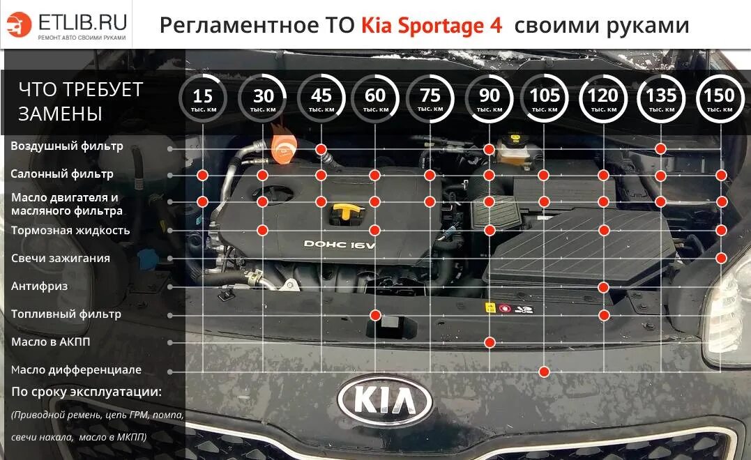 Ремонт киа спортейдж 3 своими руками Регламент ТО KIA Sportage 4 - KIA Sportage (4G), 1,6 л, 2016 года плановое ТО DR