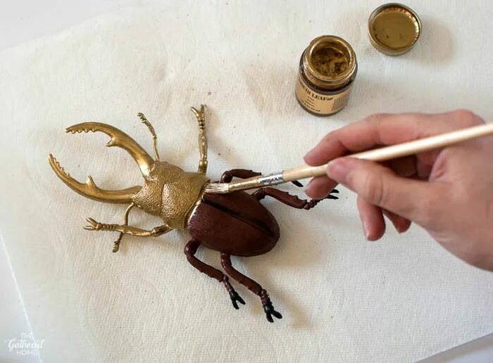 Ремонт жука своими руками Paint plastic insects with liquid gold leaf Faux taxidermy, Gold leaf diy, Bug c