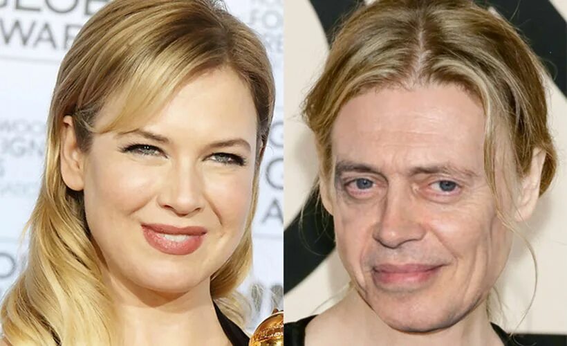 Рене зеллвегер фото пластика Renee Zellweger Hardly Recognizable After Replacing Face With Steve Buscemi’s Ce