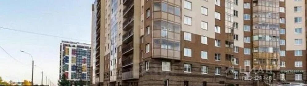 Ренидент ул оптиков 38 корп 1 фото Ул оптиков 38: найдено 89 картинок