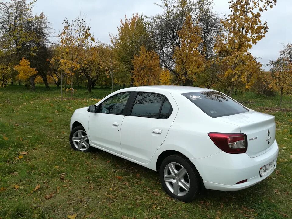 Рено логан 2 белый фото Осень Осень - Renault Logan (2G), 1,6 л, 2017 года фотография DRIVE2