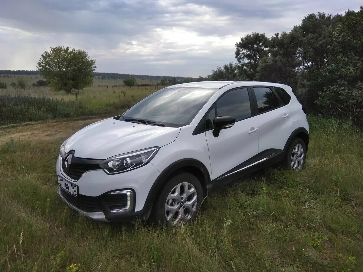 Рено с черной крышей фото Купить б/у Renault Kaptur I 2.0 MT (143 л.с.) 4WD бензин механика в Саранске: бе