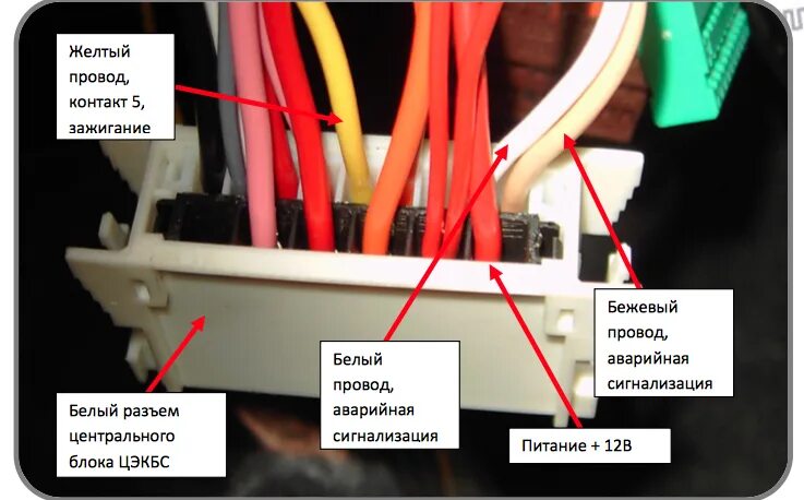 Рено симбол точки подключения сигнализации Меган 2 карта монтажа сигнализации