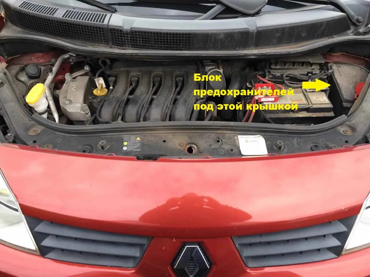 Рено сценик 2 под капотом фото Сеня ослеп. Ремонт ближнего света. - Renault Scenic II, 1,6 л, 2005 года поломка