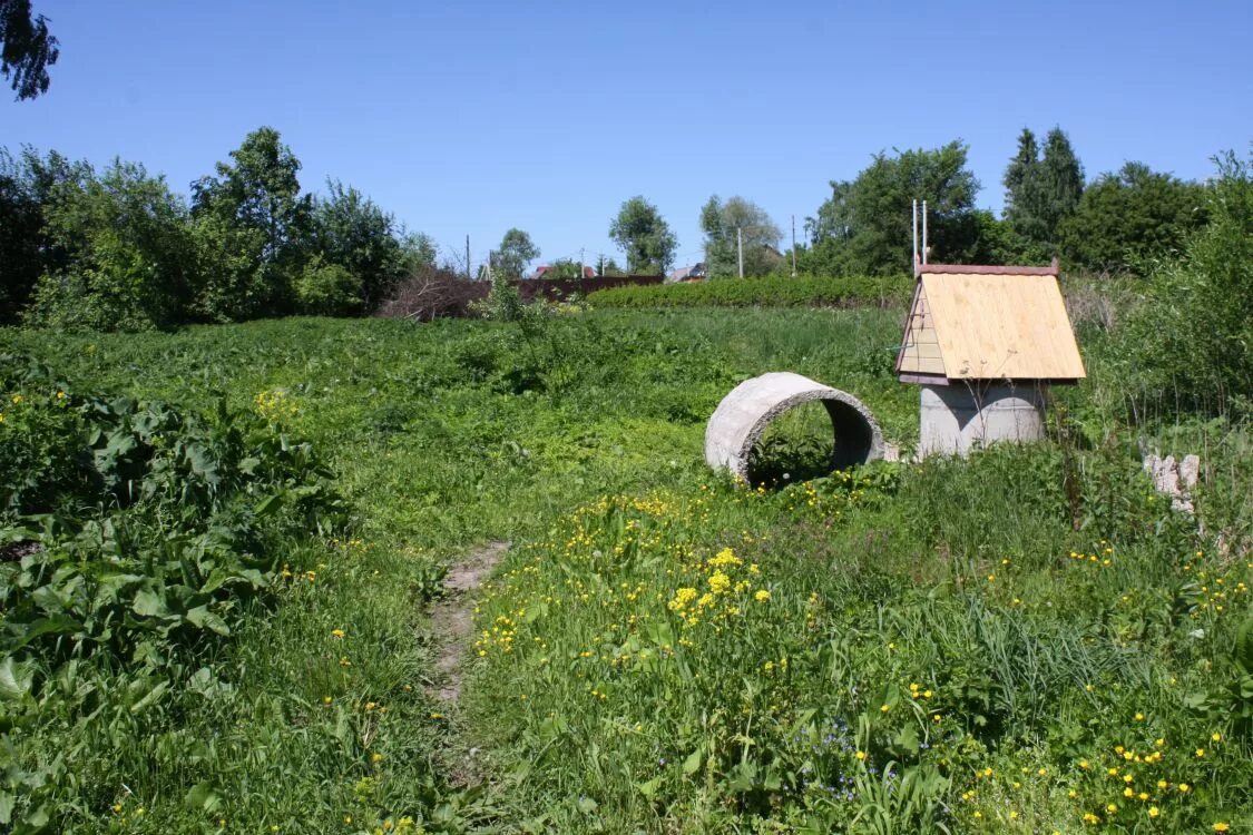 Ревякино тульская область фото Церковь Успения Пресвятой Богородицы в Ревякине-Грызлове, Ревякино (Ясногорский 