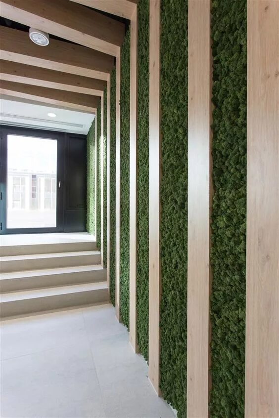 Рейки с мхом в интерьере на стене HOME DECOR Green wall design, Corridor design, Lobby design