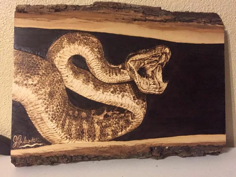 Резьба по дереву змеи фото Pin by Maher Alwan on Pyrography Pyrography art, Wood burning art, Wood burning 