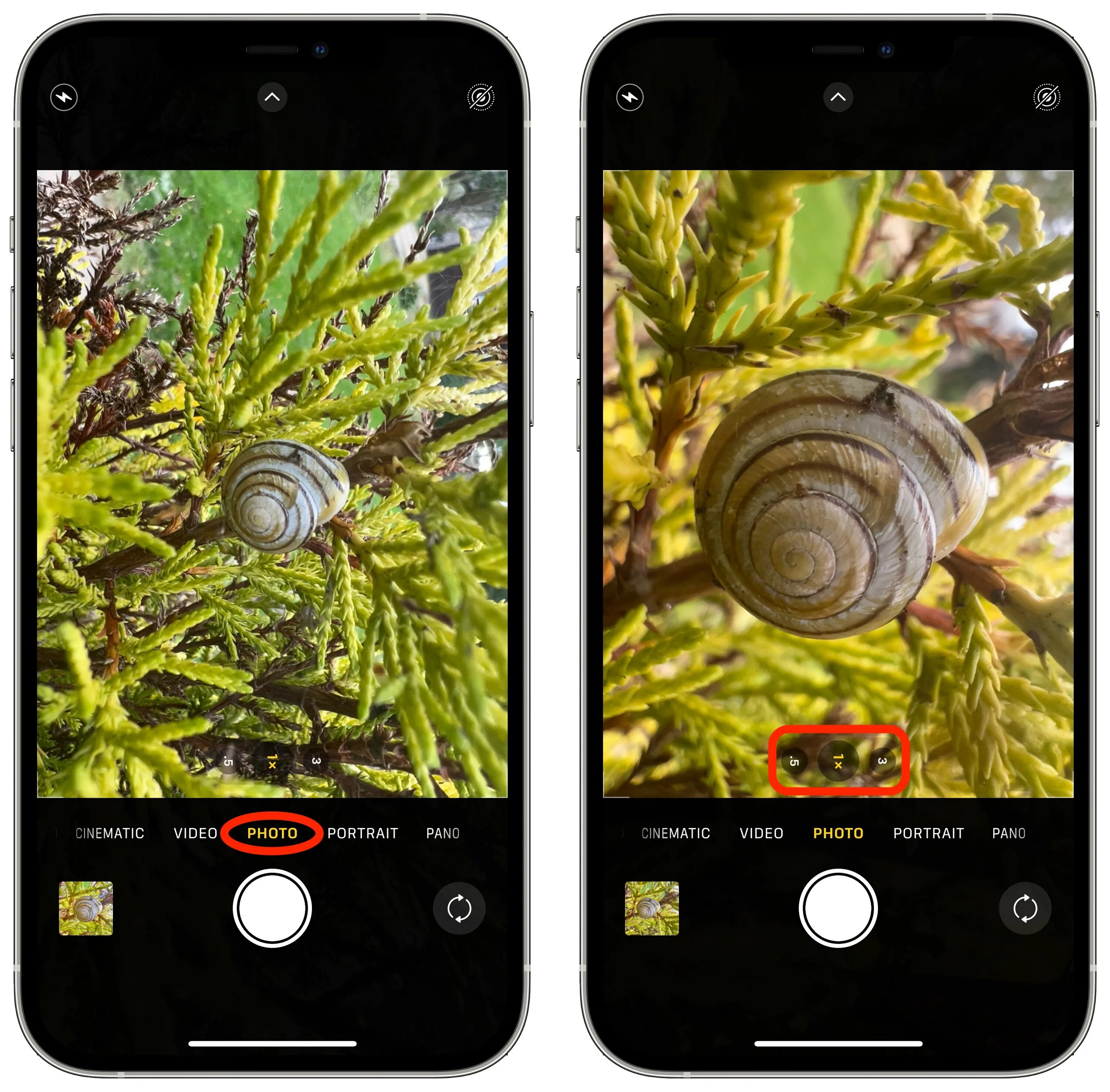 Режимы фото на айфон 13 iPhone 13 Pro: How to Shoot Macro Photography MacRumors Forums