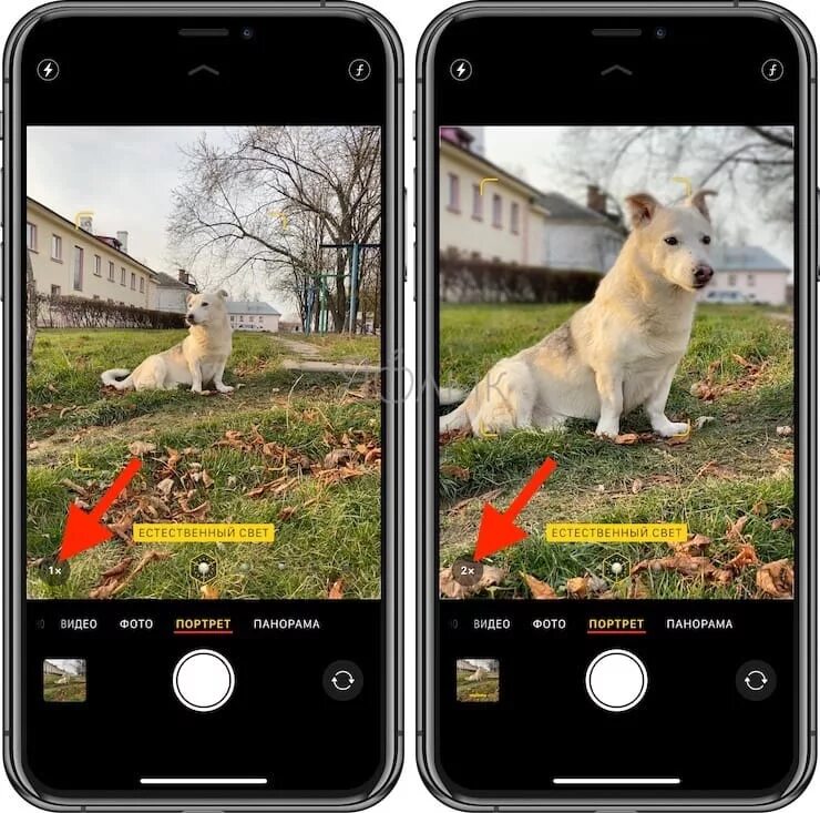 Резкость фото на айфоне Возможности камеры в iPhone 11 и iPhone 11 Pro, которых нет (или работают иначе)