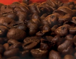 Коста-Рика кофе Арабика